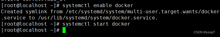 Docker服务启动成功
