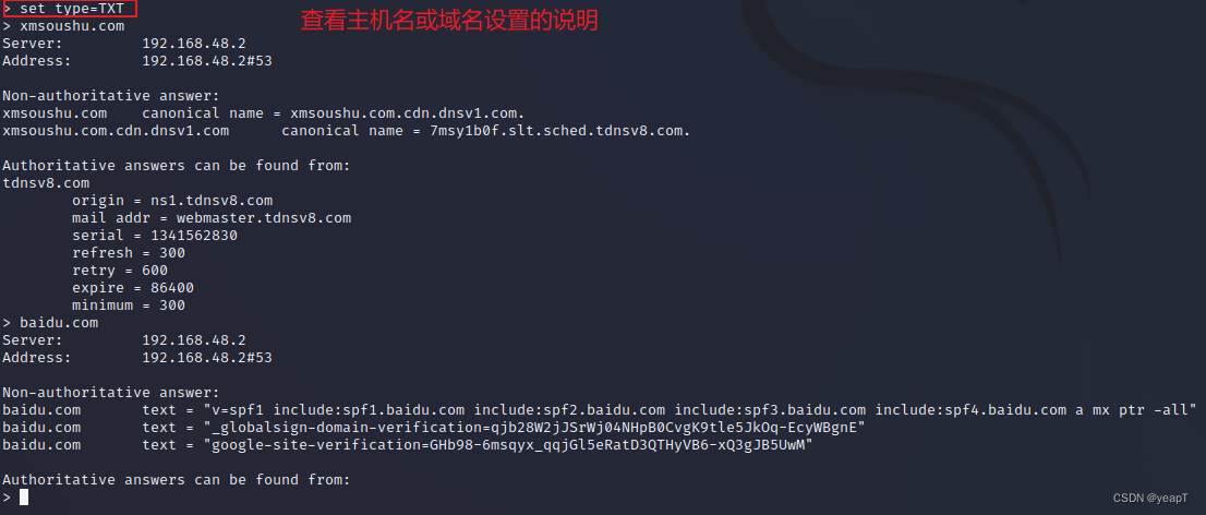 NSLookup查询3